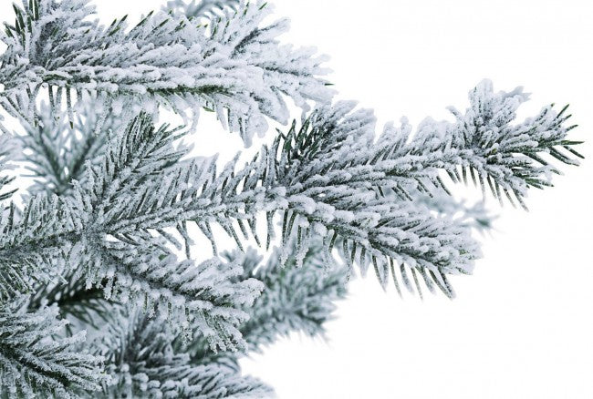 Pino Elbrus Snowy H125