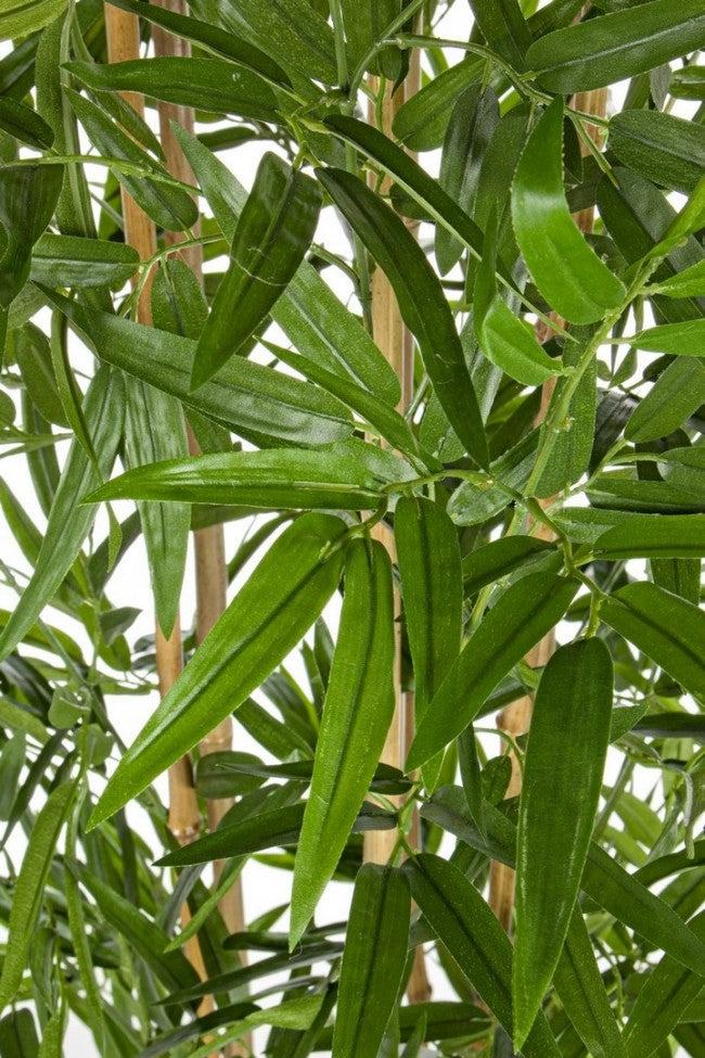 2x Bambus-Dekorationspflanze mit 185-cm-Topf