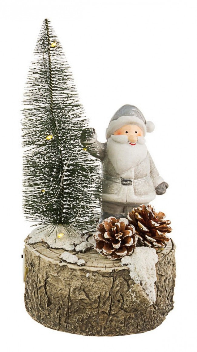 3x Santa Maple C-geführt