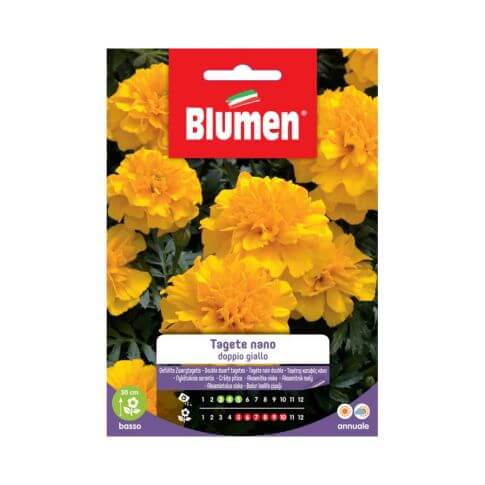 Ringelblumensamen, Zwerggefüllte, gelbe Blumen