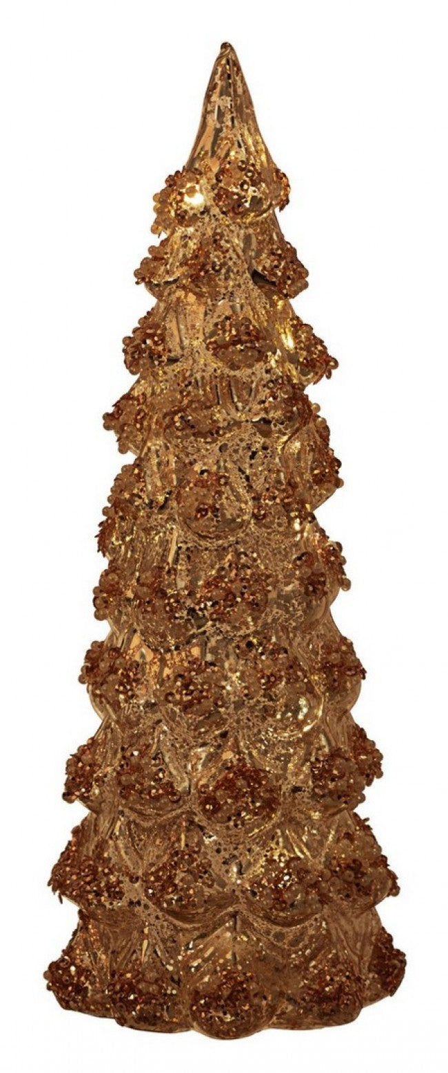 6x Pino VT Dan C-geführt