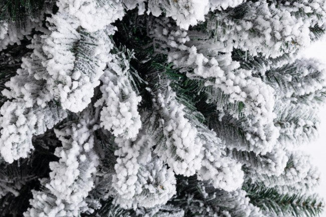 Slim Tree Sillian Inn H240-592RAMS