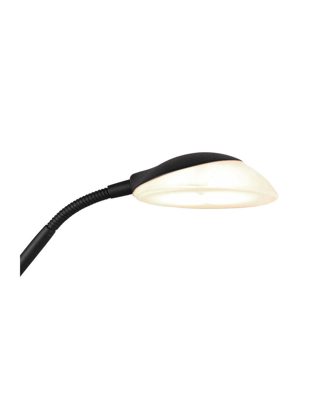 LED-Stehleuchte mit Lesestrahler Orson Black Trio Lighting
