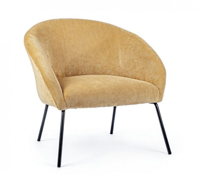 Gelber Gelborange, gekrönt, gezeichnet