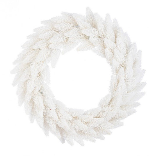 8x Corona Fancy Bianco D40