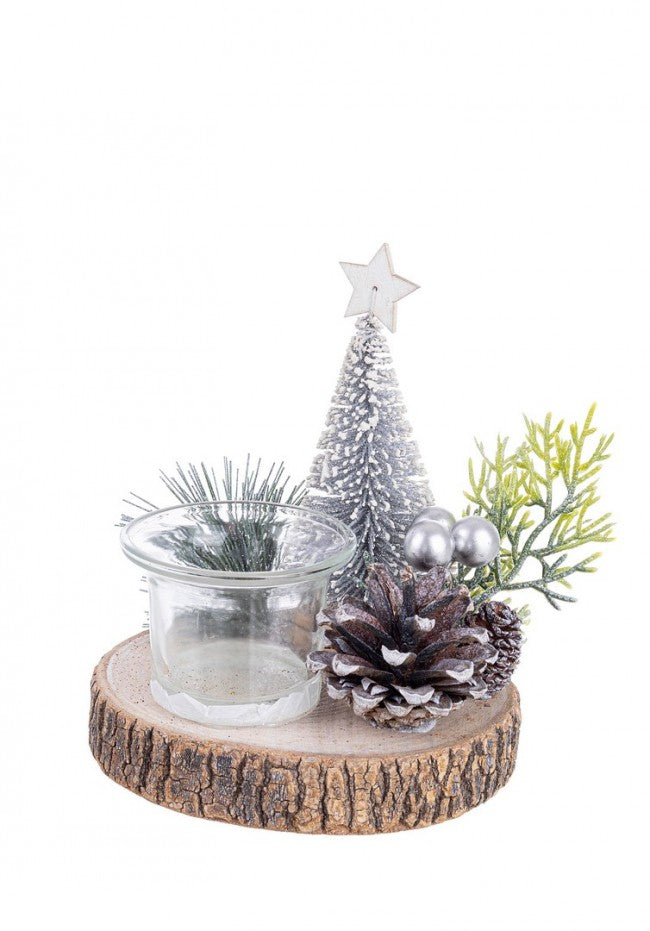 4x P.Candela 1p Sylvia nach Innevato C.