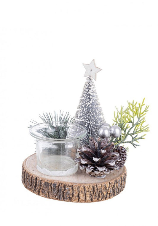 4x P.Candela 1p Sylvia nach Innevato C.