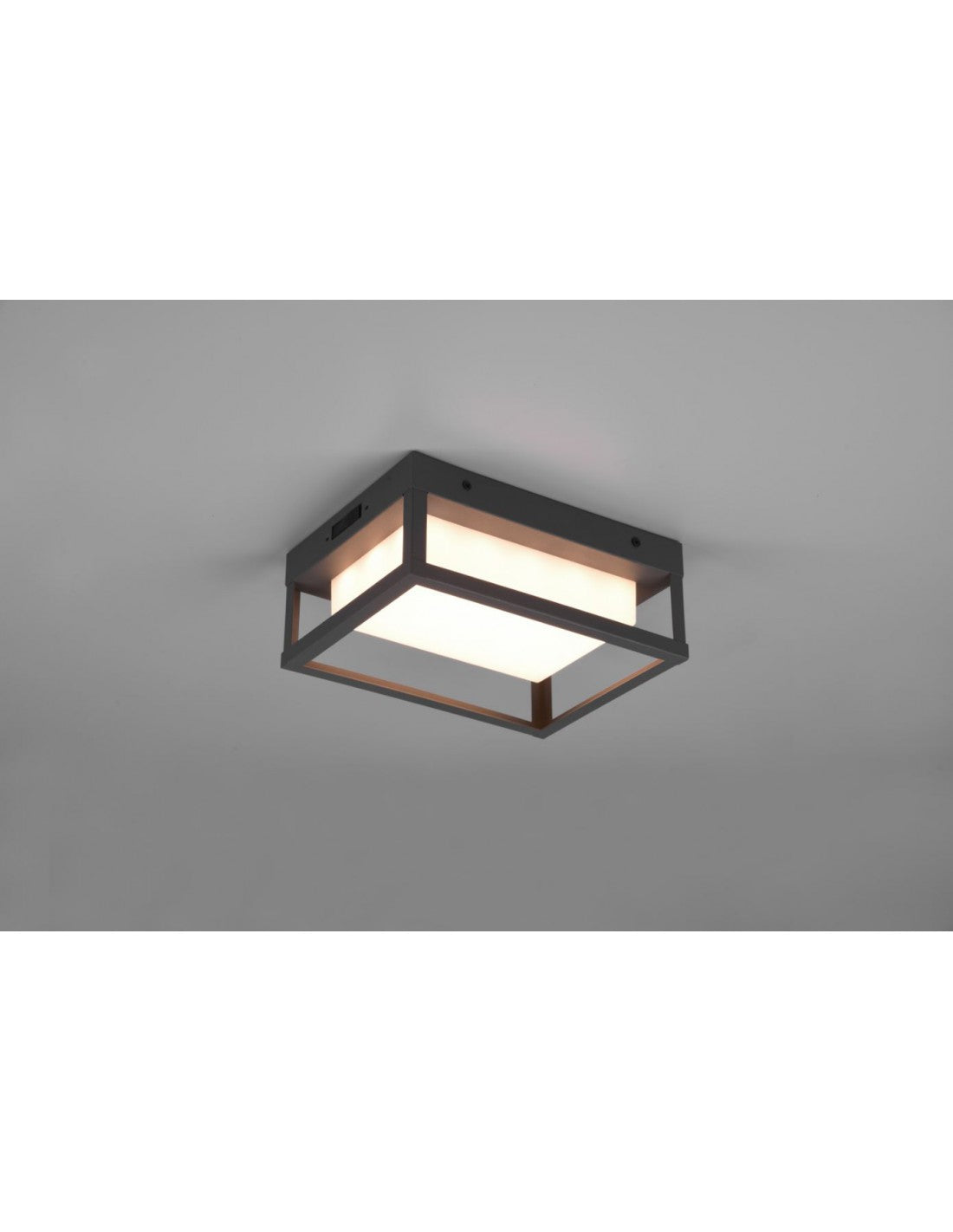 Außenwandleuchte mit LED-DIP-Schalter Witham Anthrazit IP54 Trio Lighting