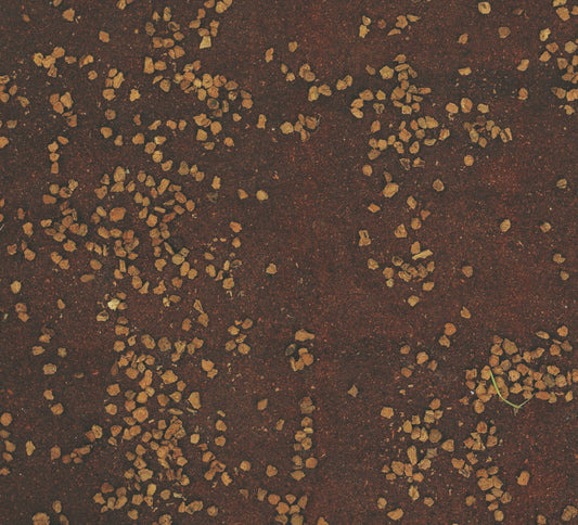 Wüstenpapier mit Kork, 50 x 70 cm, im Umschlag mit Weihnachtsdekoration