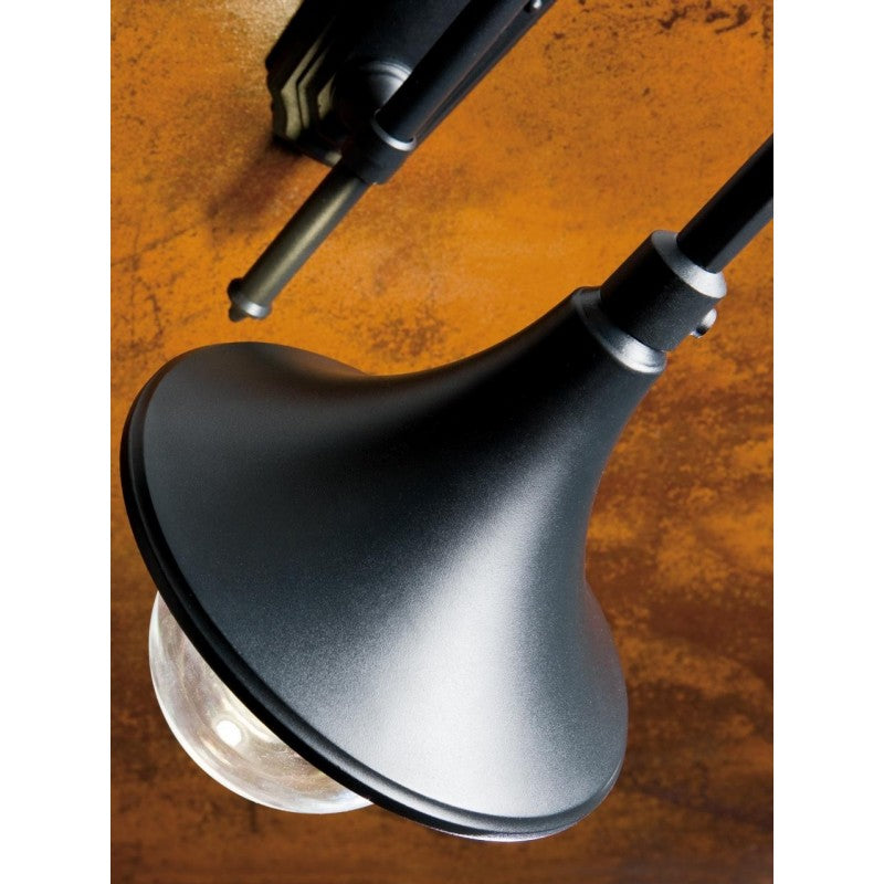 2-flammige Straßenleuchte mit schwarzer Aluminiumdruckgussstruktur und einer Höhe von 230 cm