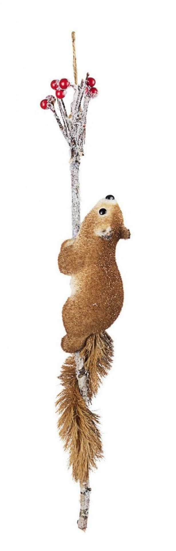 4x Scoiattolo Jerry C-RAM