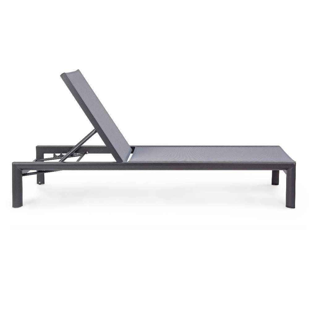 Skipper, Skipper Bizzacht, Rad-und Hülsenraupen