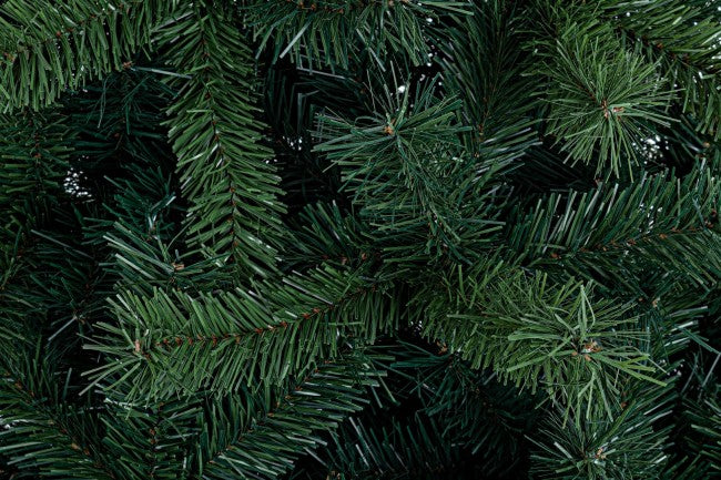 Bellemonte P. H210-1145Rami Tree