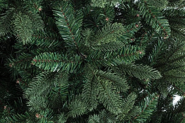 Frejus FR H150-1194RAMI TREE