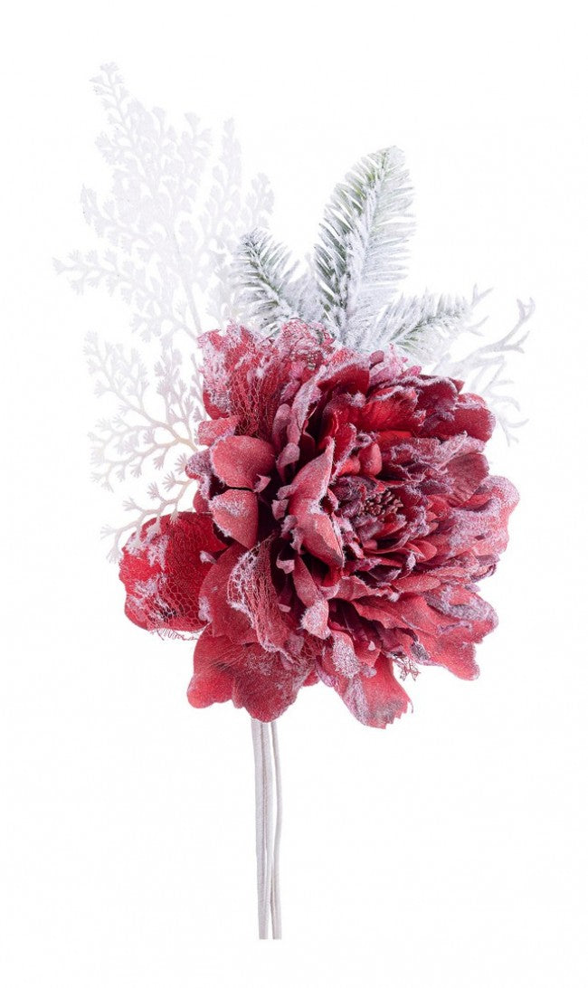 10x Pick Peony Ginny Red Red Year