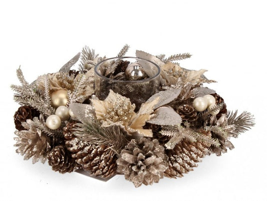 2x P. Candela 1p Alara an Potininettia Champion