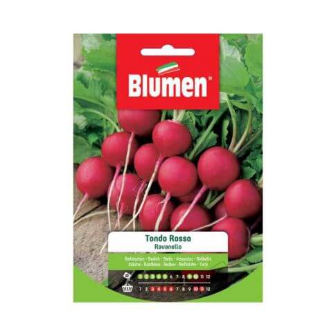 Radieschensamen Runde Rote Blumen