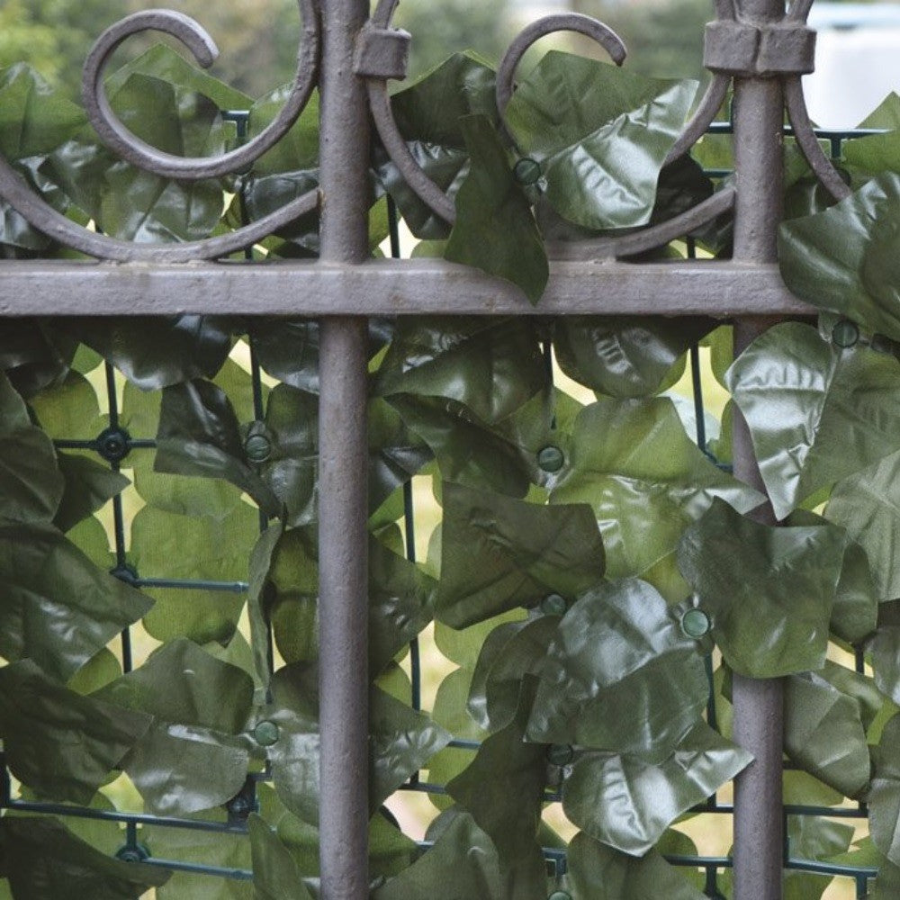 DOUBLE, DOUBLE, FEIN