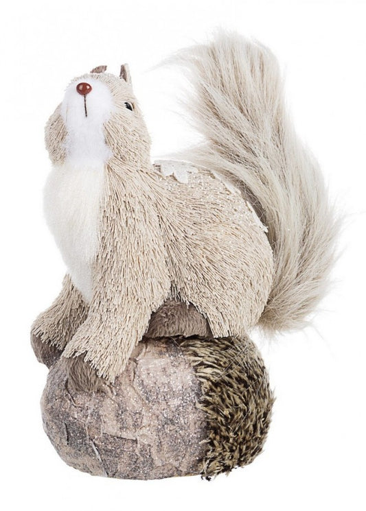 4x Scoiattolo Wintery C.