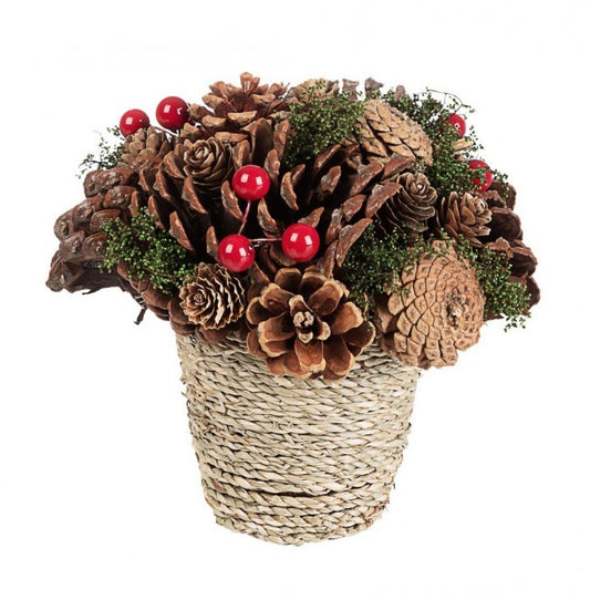 8x -Komposition Sequoia c