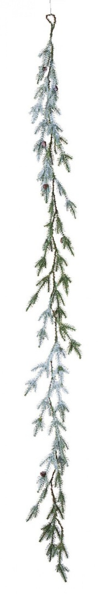 6x Boa Elbert Innevato H1