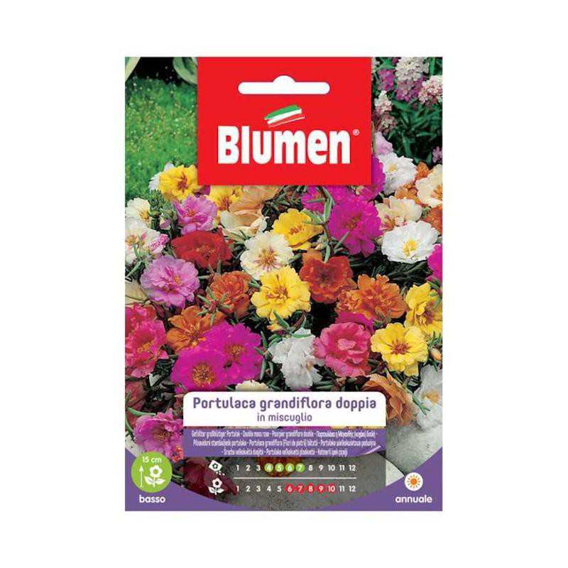 Samen von Portulaca Grandiflora Double in Busta