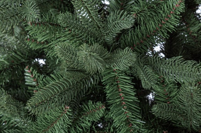 Frejus H400-8819 Baum