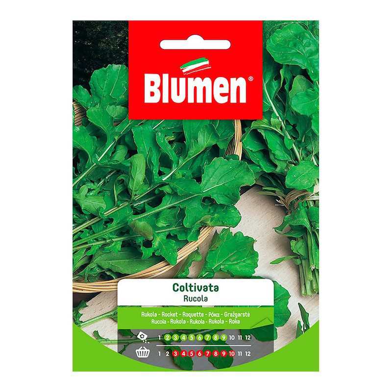 Rucola-Samen im Beutel angebaut