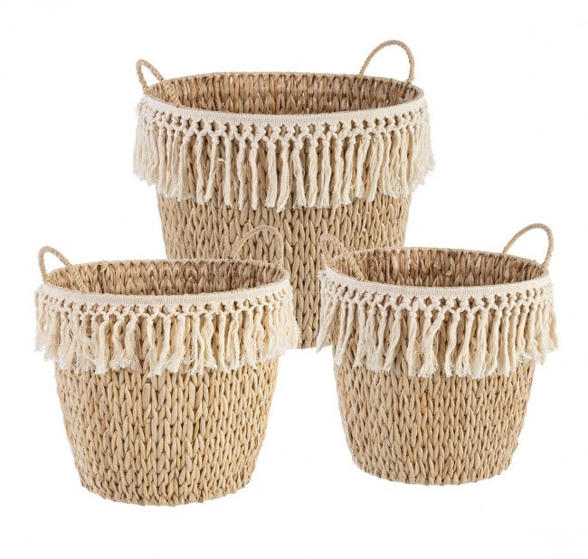 2x Set3 Cesta 2M Alma Svas