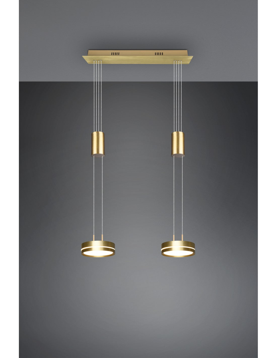 Hängediffusoren Disco Led Dimmer Franklin Brass Trio Lighting