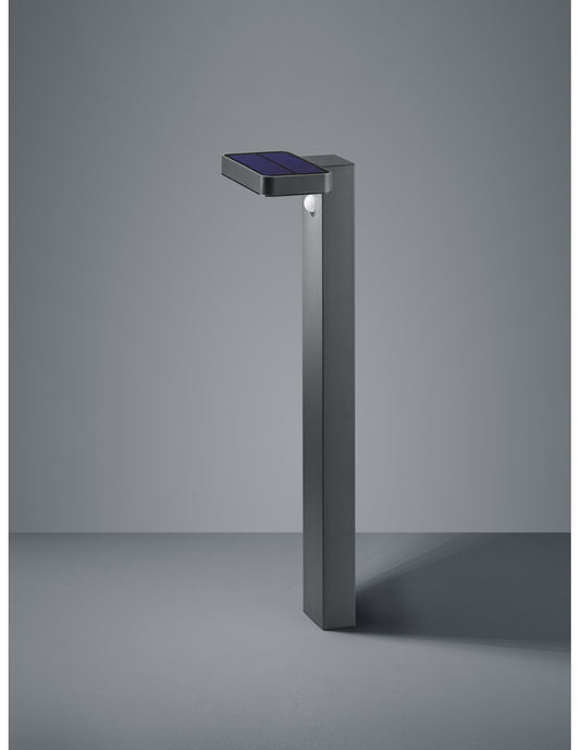 Pole Esquel Led Anthrazit IP44 mit Trio Lighting Bewegungssensor