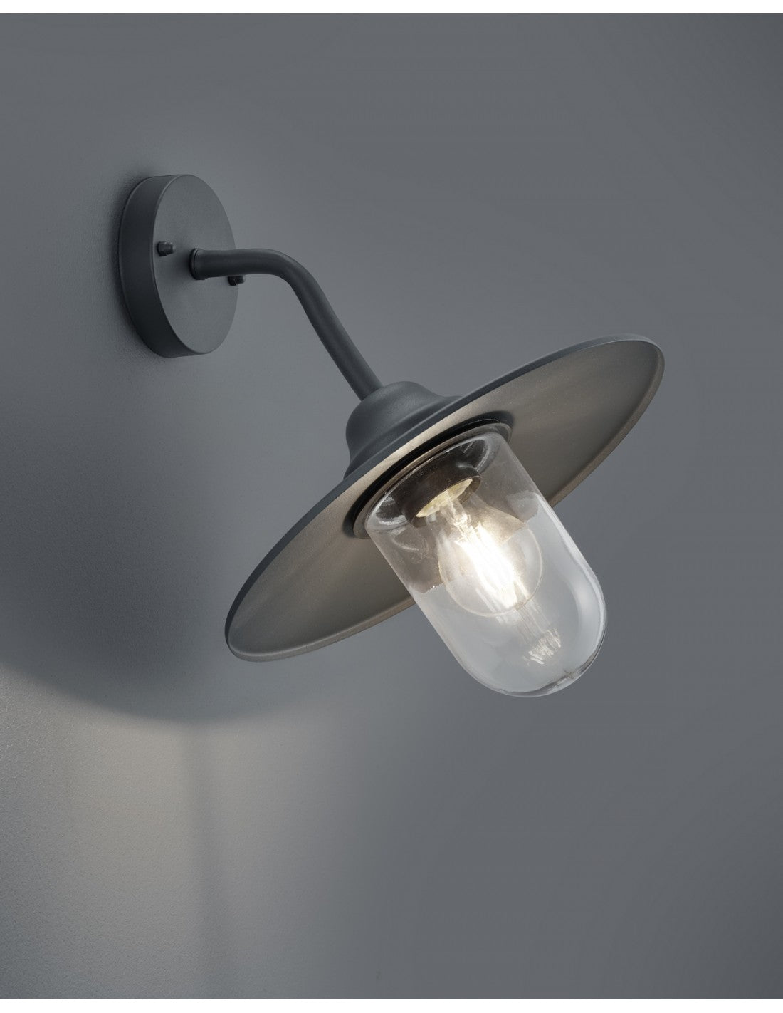 Wandleuchte 1xE27 Brenta Anthrazit Glasdiffusor IP44 Trio Lighting