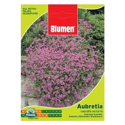 Beutel mit Aubretia Cascata Azzurra-Samen