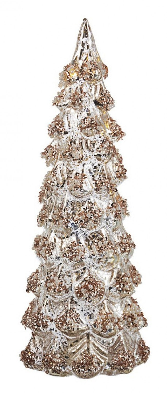 6x Pino VT Dan C-geführt