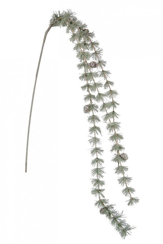 8x Ramo Everest Kurve 100