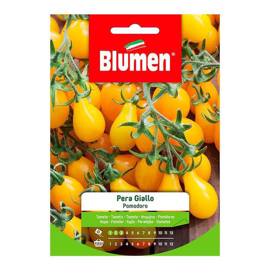 Gelbe Birnen-Tomatensamen im Beutel