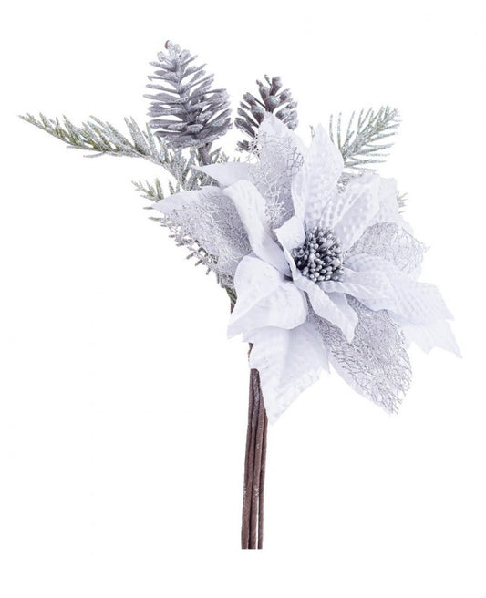 12x pick pozia clare silber c