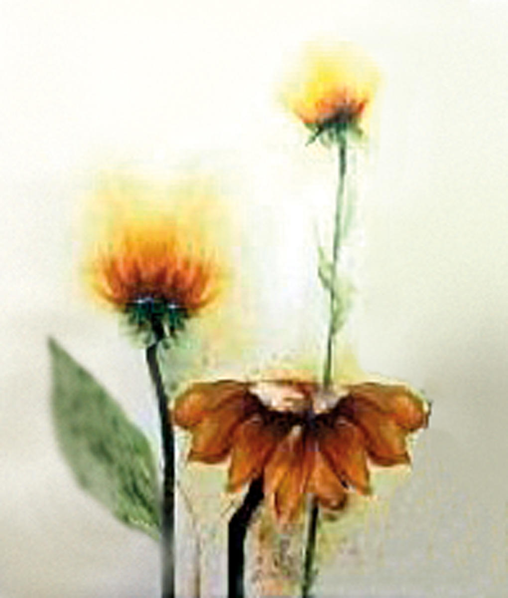 Dekorplatte mit gelbem Holzfinish 60x120x4 cm