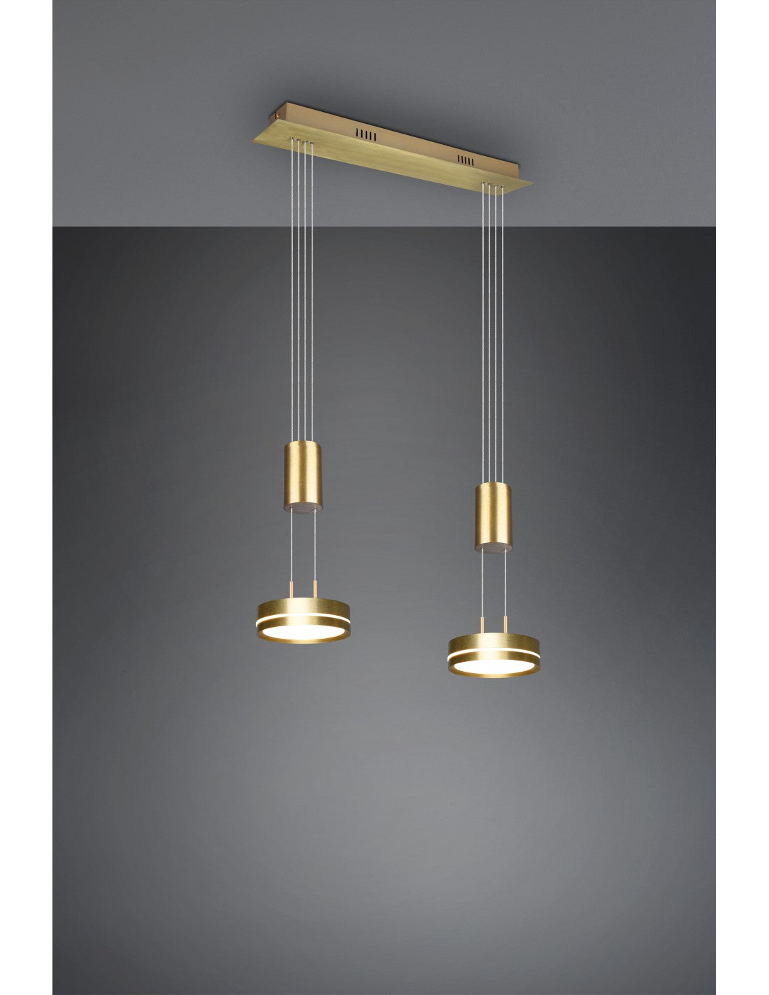 Hängediffusoren Disco Led Dimmer Franklin Brass Trio Lighting