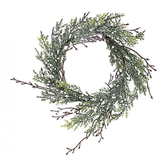 8x Crown Judie White Beeren C.