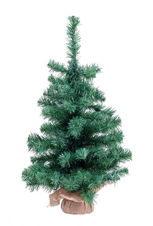 6x Albero Innsbruck H6