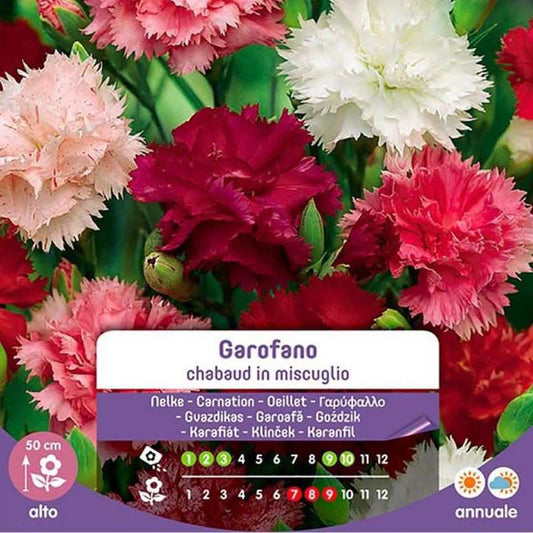 Chabaud-Nelkensamen in Mischung