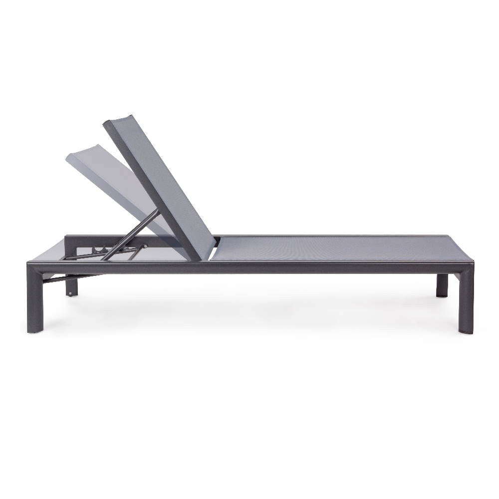 Skipper, Skipper Bizzacht, Rad-und Hülsenraupen