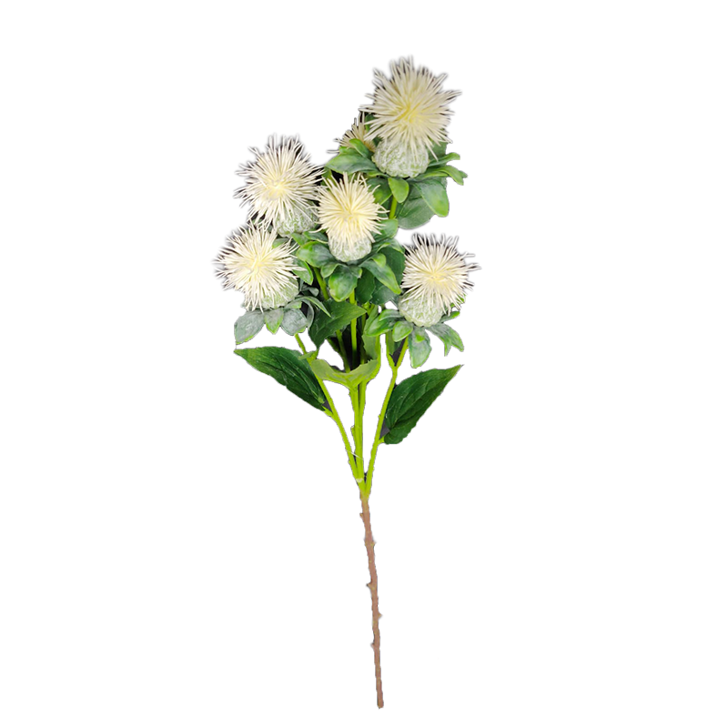 Blankschilz 79 cm