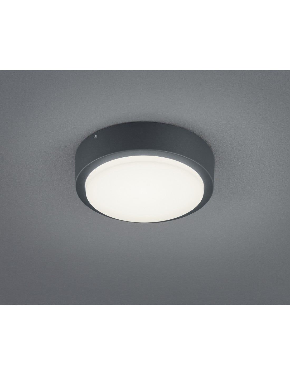 Esterno Breg Anthrazit, IP54 Ø20 cm Trio Lighting