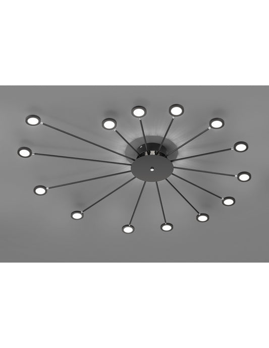 Plafoniera Pavone Luce Indirektes und 14 Punkte Led Orientable Peacock Black Trio Lighting