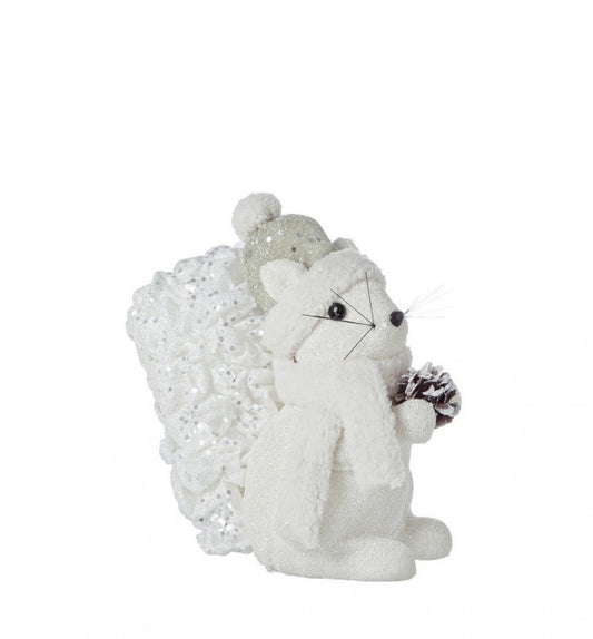 4x Scoiattolo Gletscher s