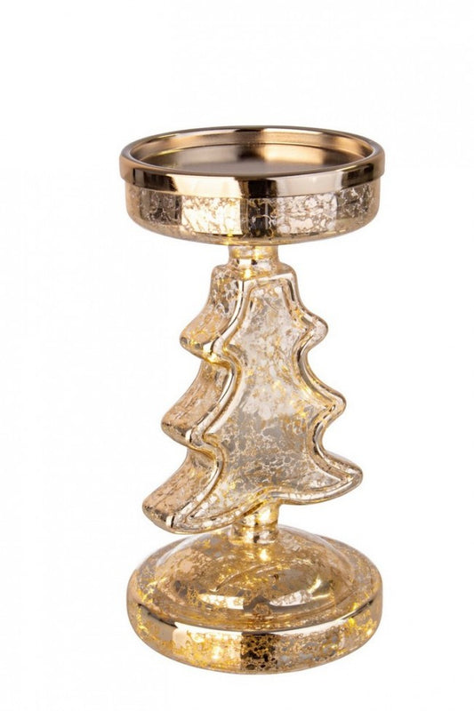 4x P. Candela VT Jasmin Pino C.