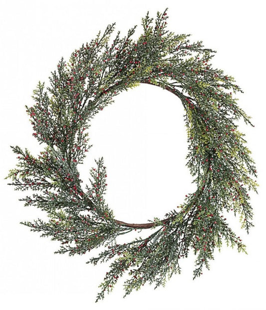 4x Crown Judie Red Beeren C.