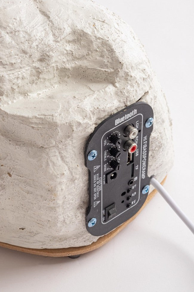 Polarbär Barrow C-Movimento L H92